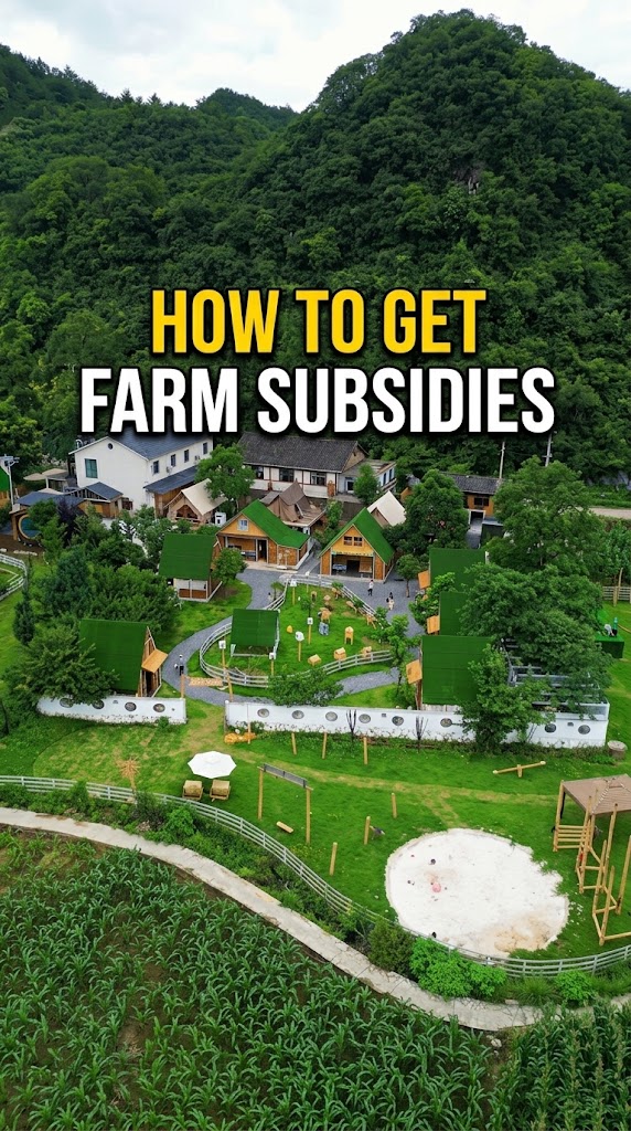 Essential Guide to Family Farm Time Fibre