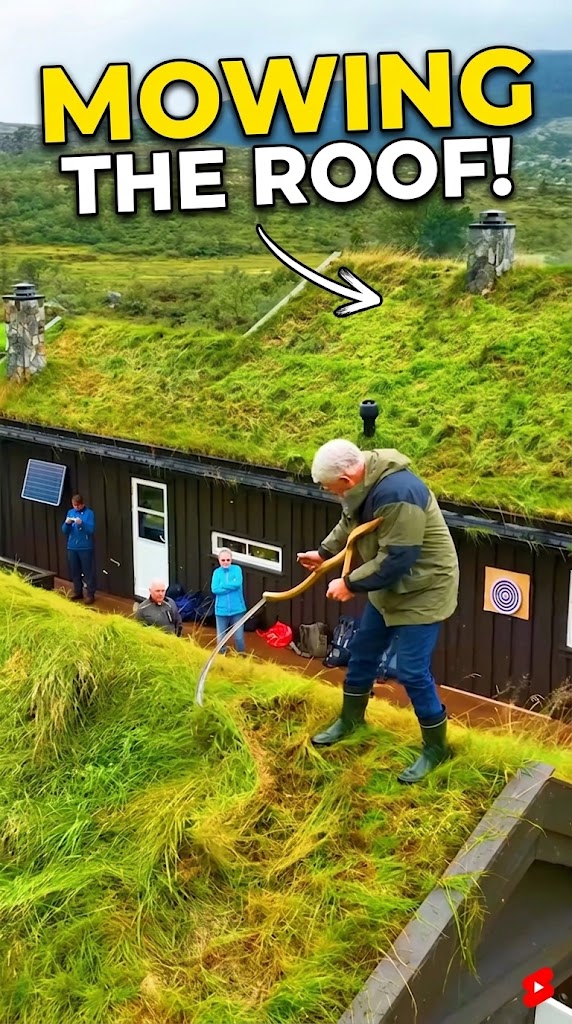 Norway Grass Roofs Time Fibre